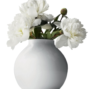 Vase PNG