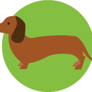 Dachshund PNG