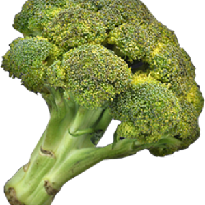 Broccoli PNG