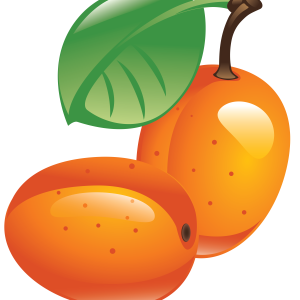 Sea buckthorn PNG
