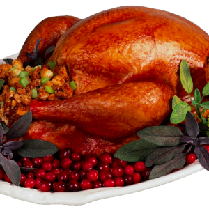 Turkey food PNG