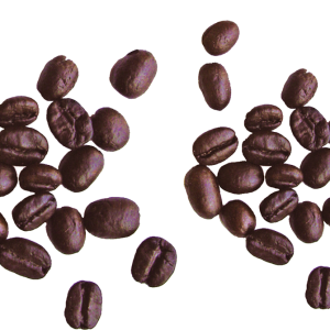 Coffee beans PNG image