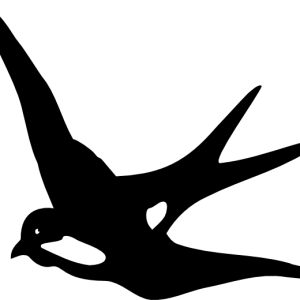 Swallow PNG