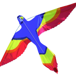 Kite PNG