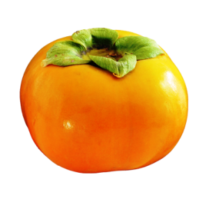 Persimmon PNG image