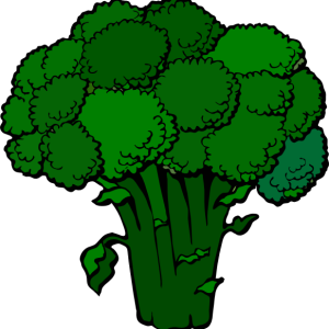 Broccoli PNG