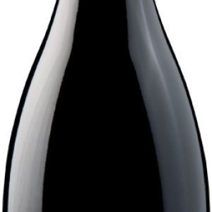 Wine bottle PNG image