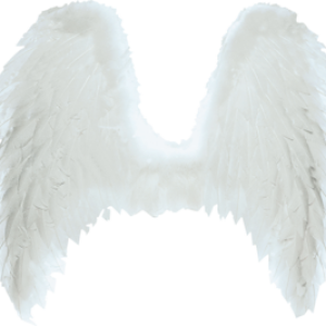 Wings PNG