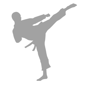 Karate siluete PNG