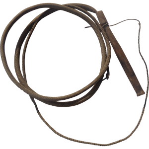 Whip PNG