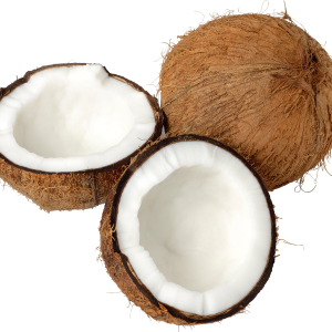 Coconut PNG image