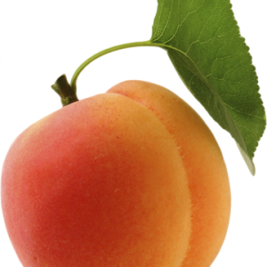 Apricot PNG transparent image