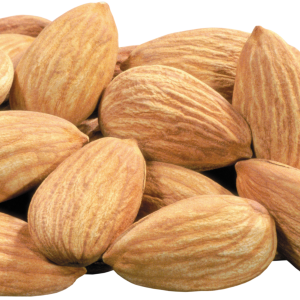 Almond PNG