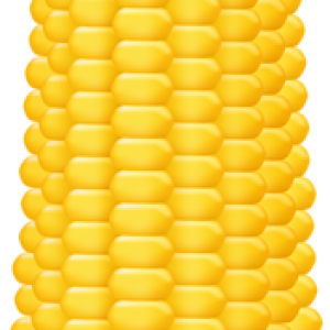 Corn PNG