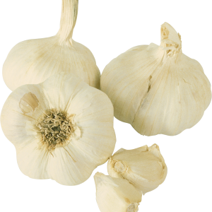 Garlic PNG