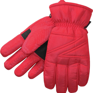 Gloves PNG