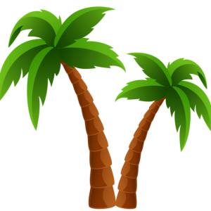 Palm tree PNG