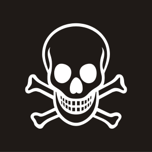 Pirate flag PNG