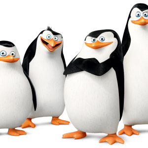 Madagascar penguins PNG