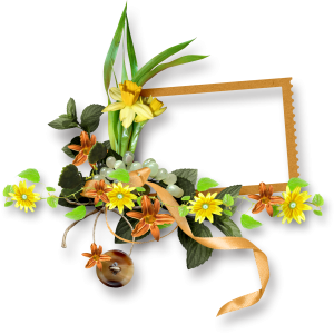 Floral frame PNG