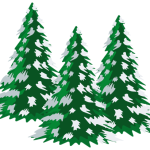 Winter forest PNG