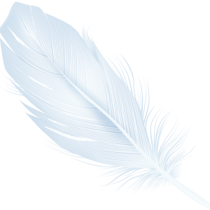 Feather white PNG