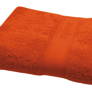 Towel PNG