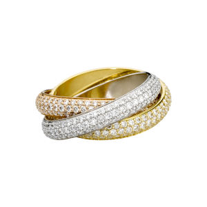 Jewelry PNG image