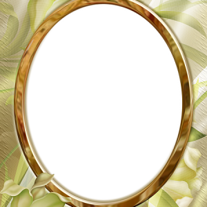 Picture, photo frame PNG