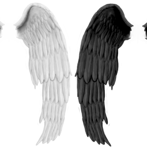Wings PNG