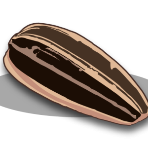 Sunflower seeds PNG