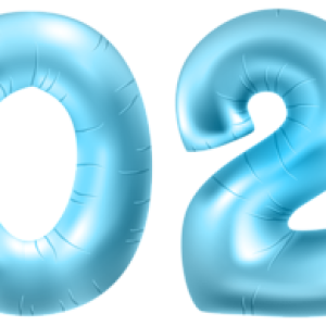 2020 Year PNG