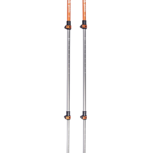 Trekking pole PNG
