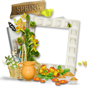 Floral frame PNG