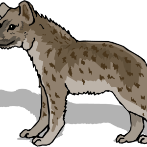 Hyena PNG
