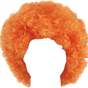 Hair wig PNG