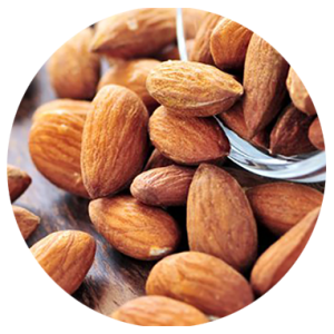 Almond PNG