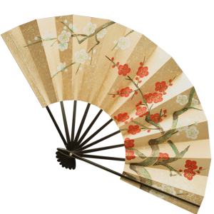 Hand fan PNG picture