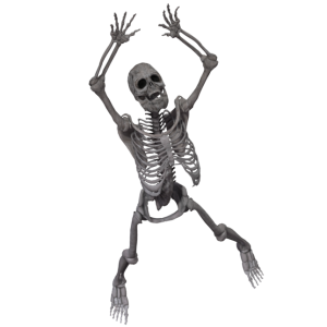 Skeleton PNG
