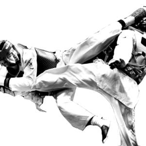 Taekwondo PNG