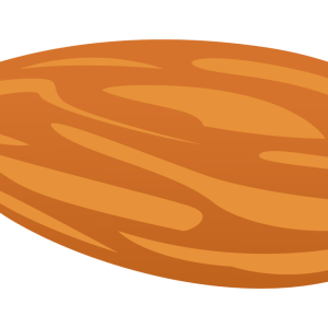 Almond seed PNG image