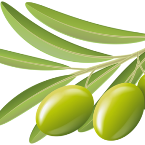 Olives PNG