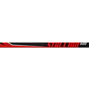 Hockey stick PNG