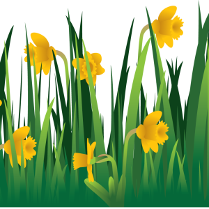 grass png image, green picture