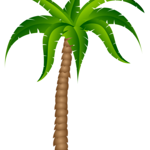 Palm tree PNG