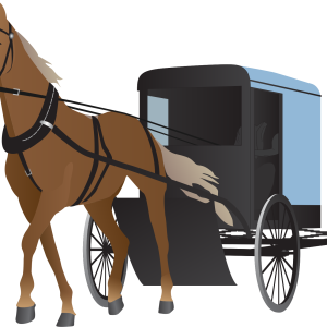 Carriage PNG