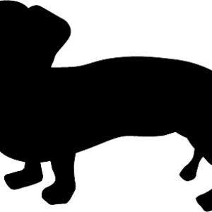 Dachshund PNG