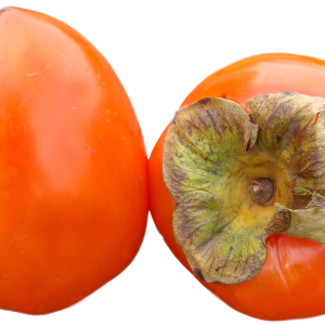 Persimmons PNG image