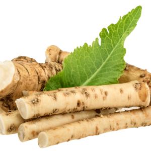 Horseradish PNG
