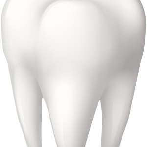 tooth png